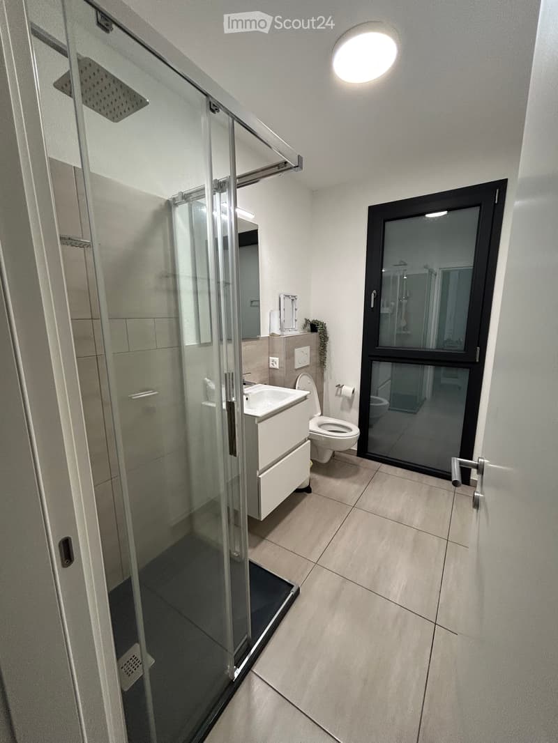 Wohnung 3.5 Zimmer mit privatem Garten in Pollegio (4)