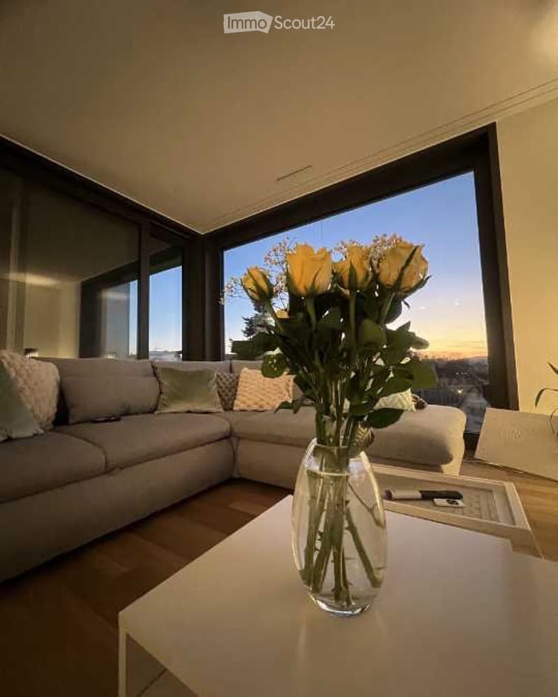 Subtenant wanted | Loft apartment in the heart of Kloten (1)