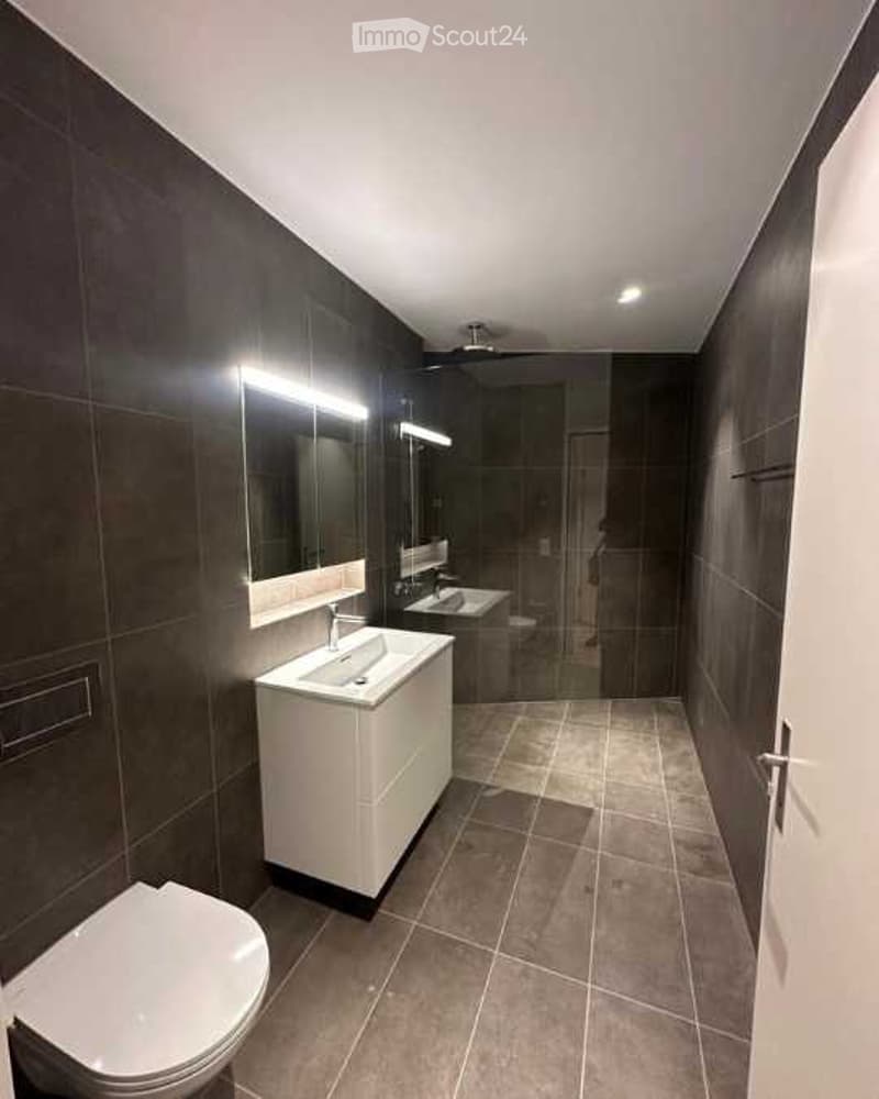 Subtenant wanted | Loft apartment in the heart of Kloten (5)