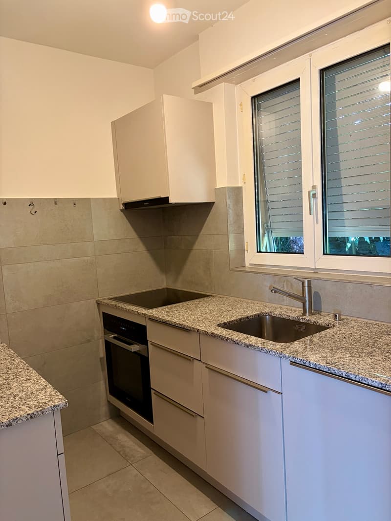 Casa a schiera con vista lago a Castagnola (4)