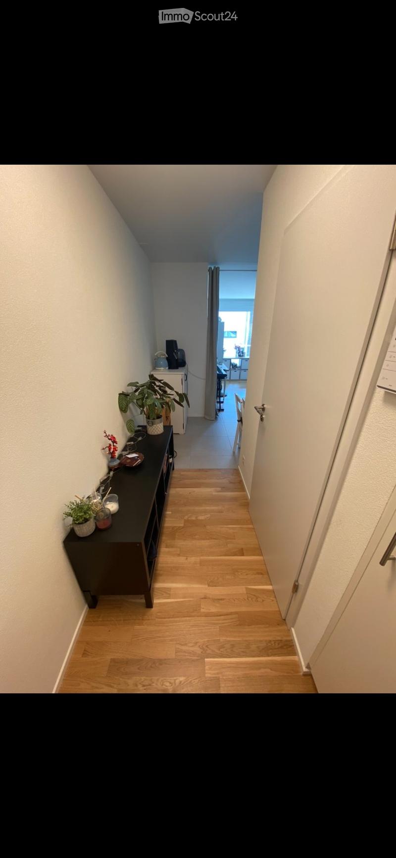 Beautiful new fully furnished studio (4)