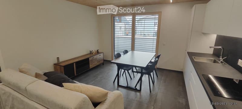 Lage App. 60 m², 2,5 Zi. in Biasca, Neu (2)