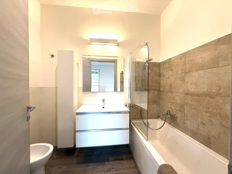 2,5 Locali con TERRAZZO vista colline e vigneti a Balerna (5)