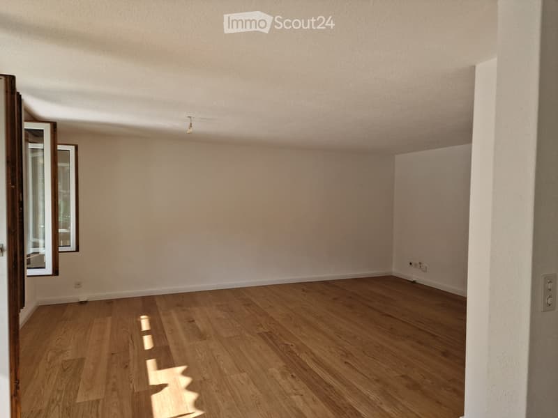 5,5- Zimmerwohnung zu vermieten (4)