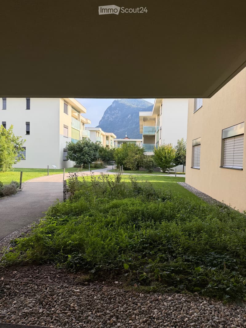 Dringend Nachmieter für Einzimmerwohnung gesucht (4)