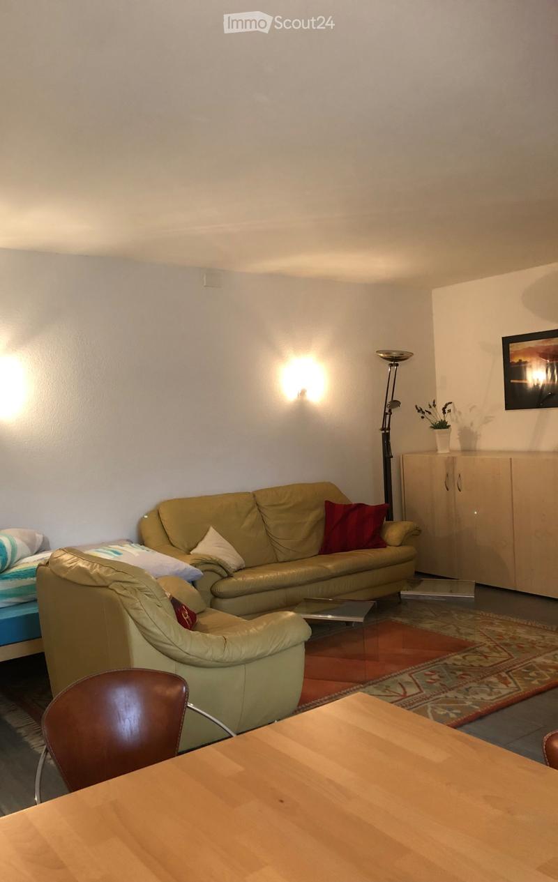 moderne, möblierte Wohnung auf dem Seerücken, sehr ruhig (3)