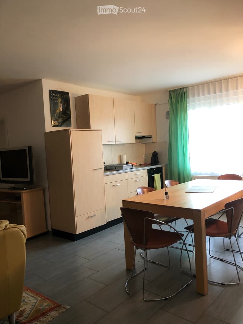 moderne, möblierte Wohnung auf dem Seerücken, sehr ruhig (4)