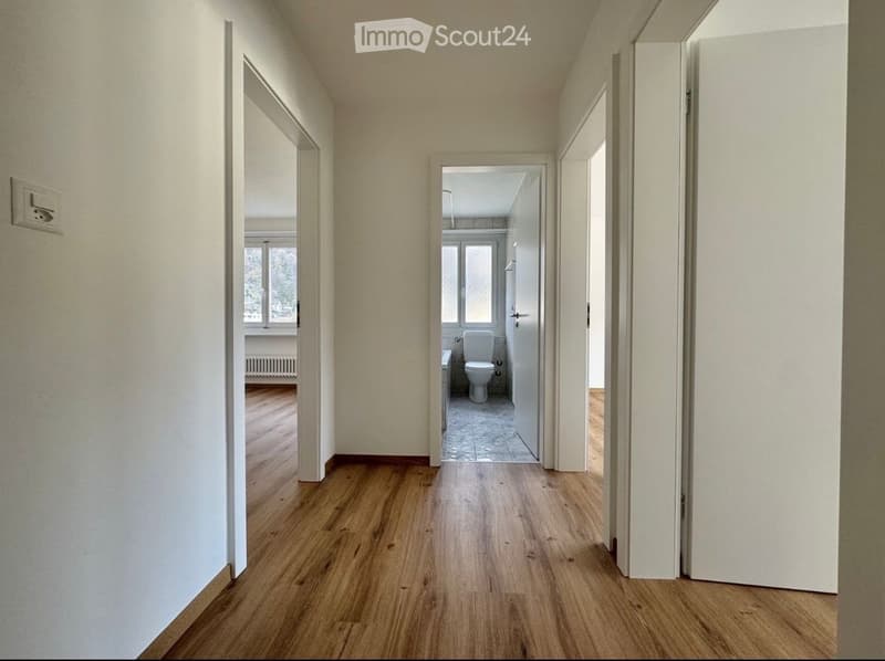 4,5 Zimmer Wohnung , 5. Stock (5)