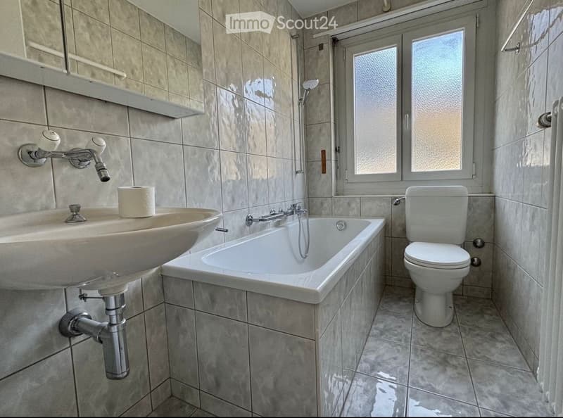 4,5 Zimmer Wohnung , 5. Stock (4)