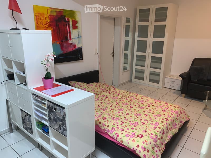 Appartamento arredato 1 stanza (4)