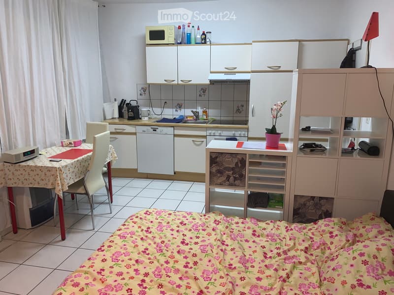 Appartamento arredato 1 stanza (5)