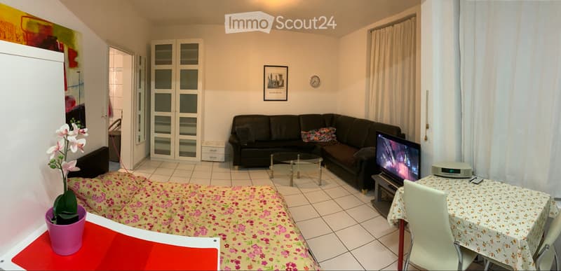 Appartamento arredato 1 stanza (3)