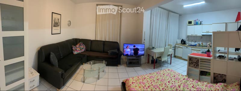 Appartamento arredato 1 stanza (2)