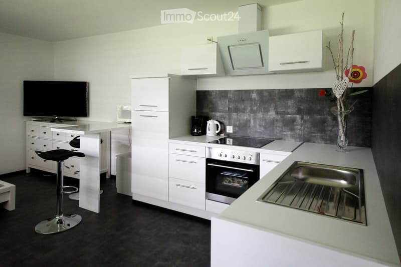 Möbliertes 1.5-Zimmer-Apartment zur Miete (2)