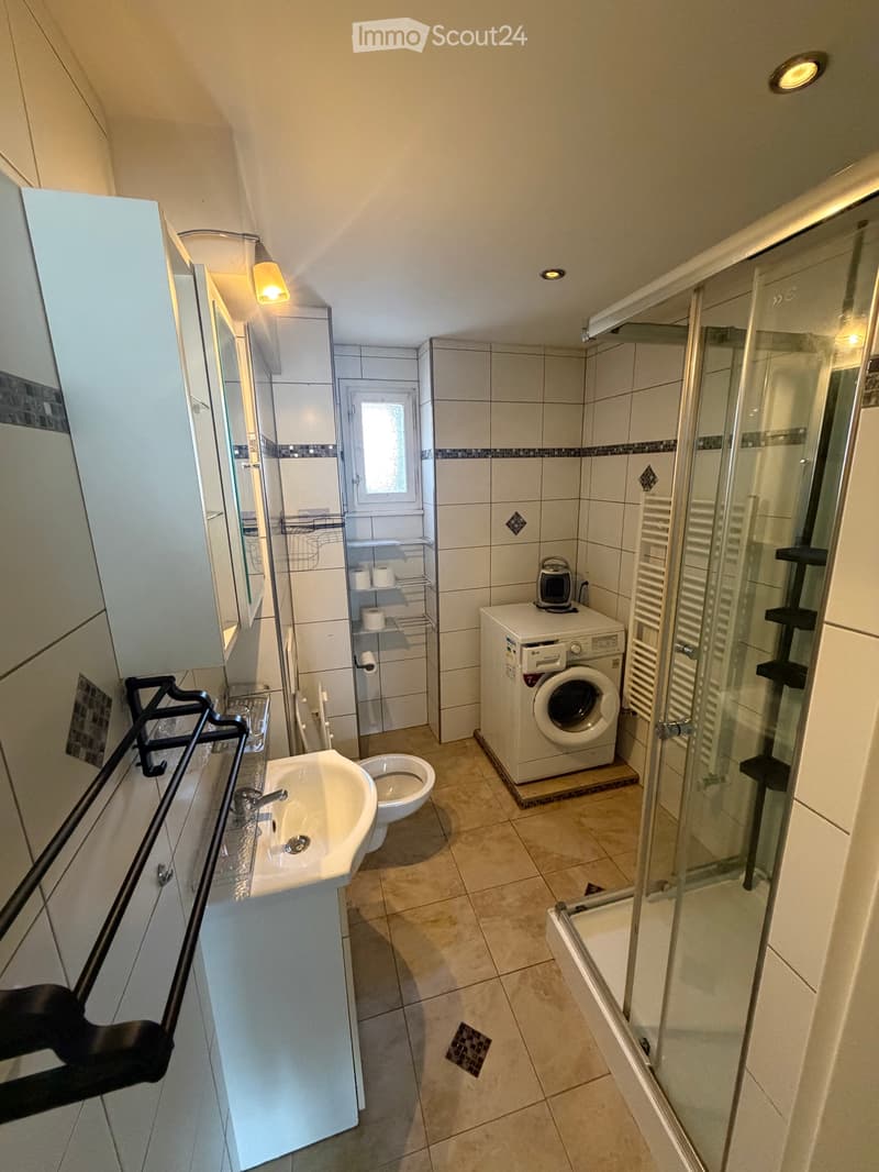 Furnished 2.5 room apartment for rent (2)