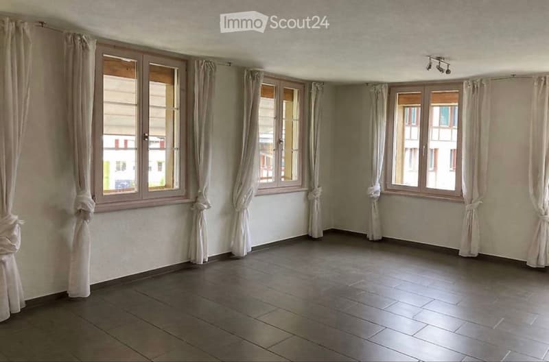 Modern 4 1/2 apartment in a 4-family house (3)