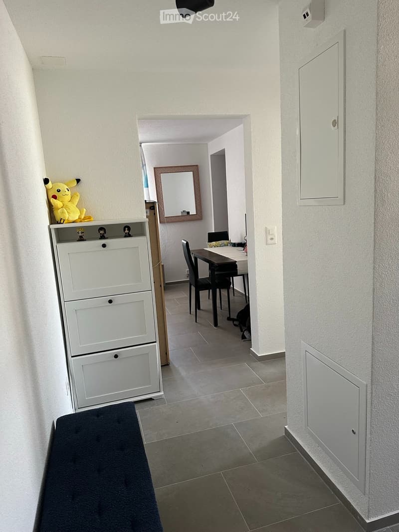 1.5-room apartment incl. PP from 15.6.26 or by agreement (5)