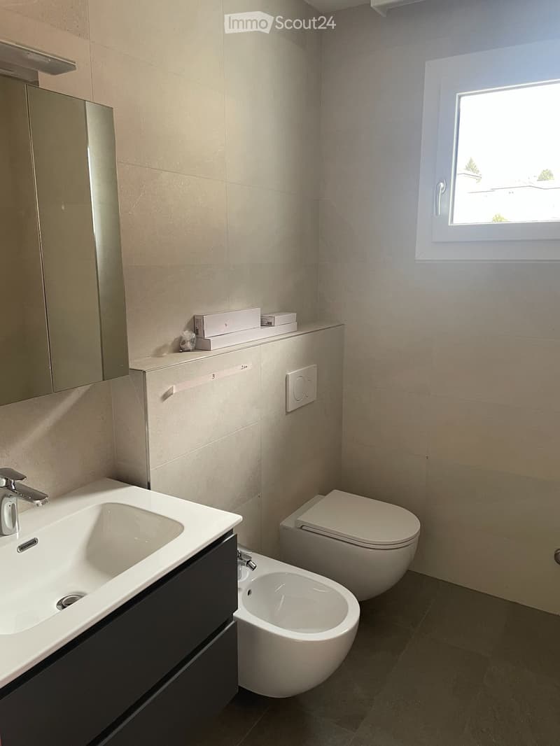 Completely renovated apartment (4)