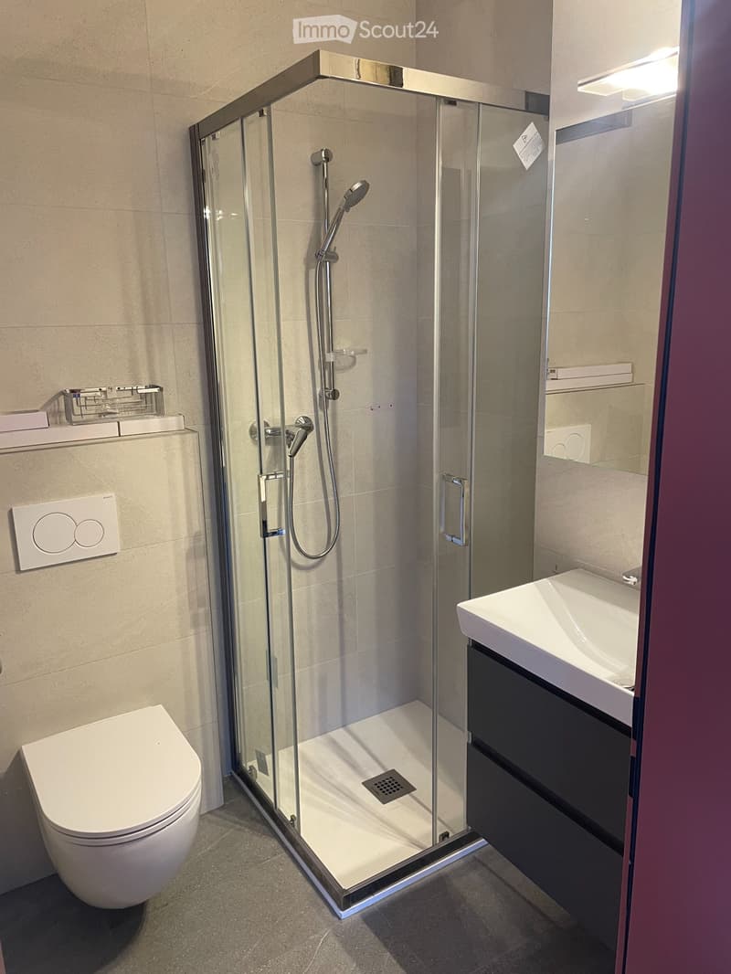 Completely renovated apartment (5)
