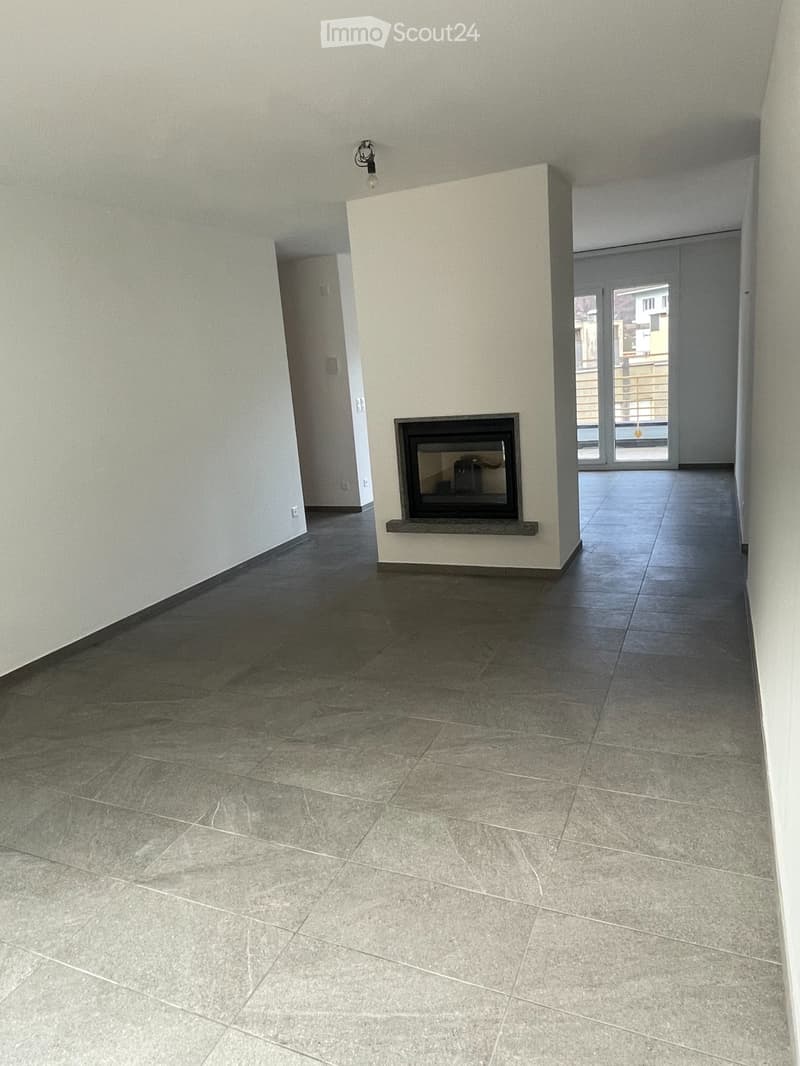 Completely renovated apartment (2)