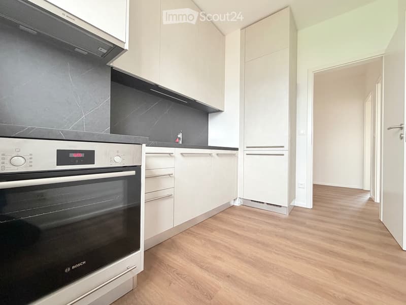 3.5 Mendrisio Rinnovato al primo piano con ascensore (1)