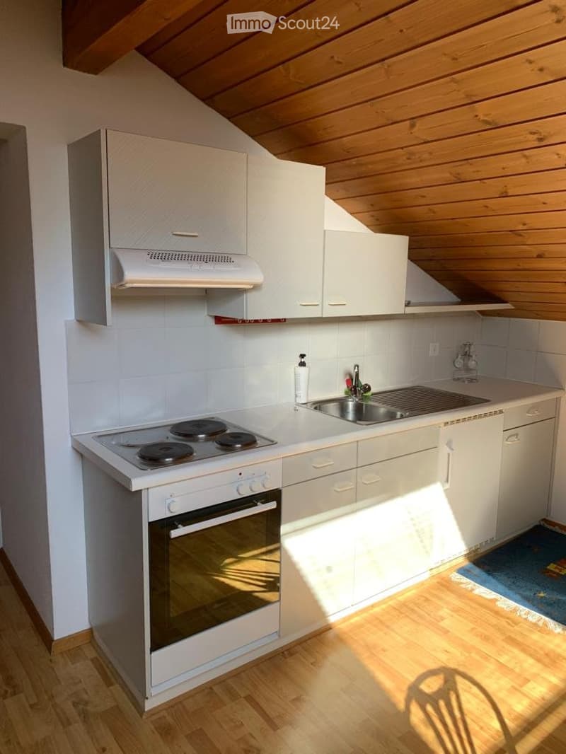 Einzimmerwohnung Eingerichtet / Preis alles inklusive / min 6 Monate (3)
