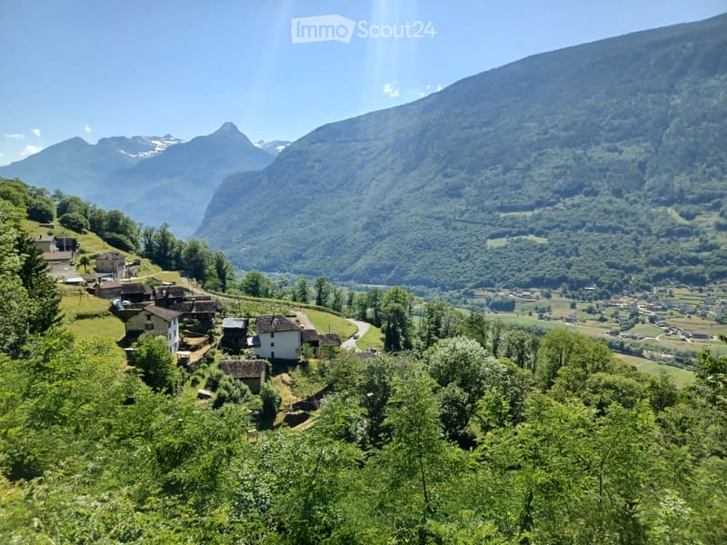 Casa con terreno annesso (1)