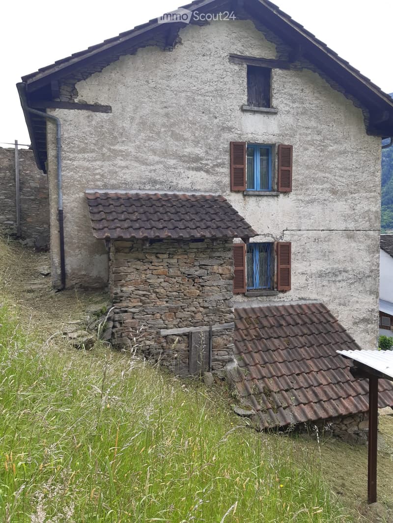 Casa con terreno annesso (3)