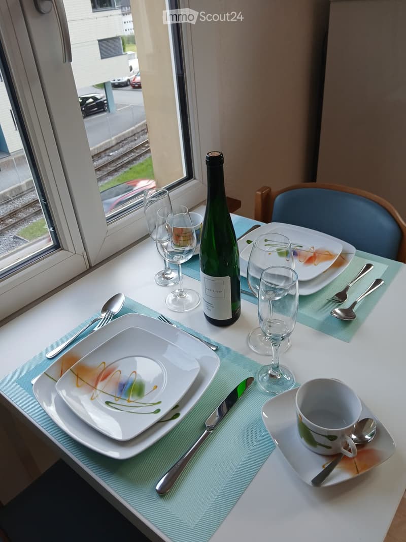 1Zimmer möbliert mit Bad (2)