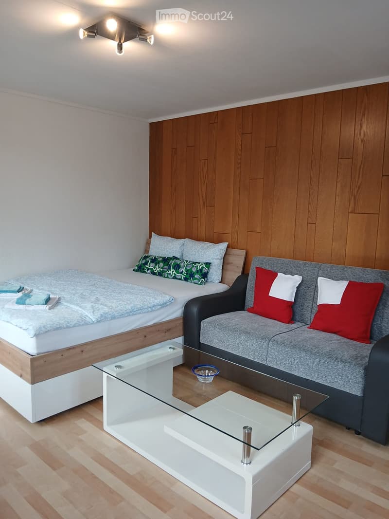 1Zimmer möbliert mit Bad (4)