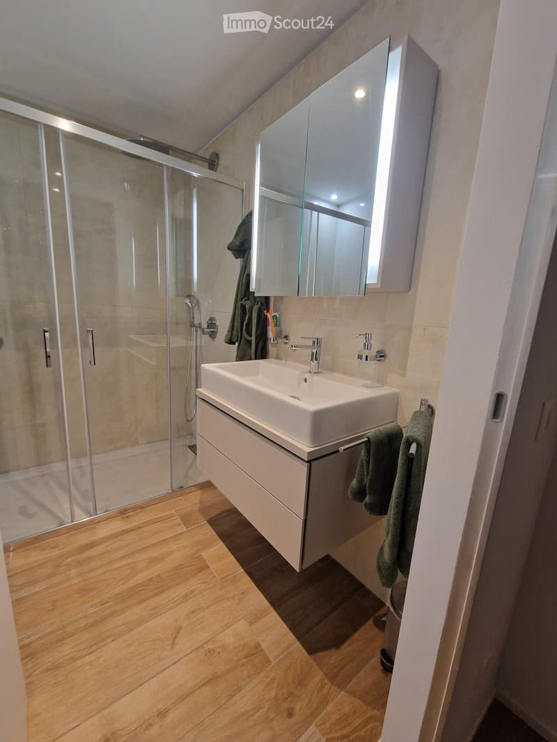 Zweieinhalb-Zimmer-Wohnung in Ponte Tresa mit Seeblick (4)