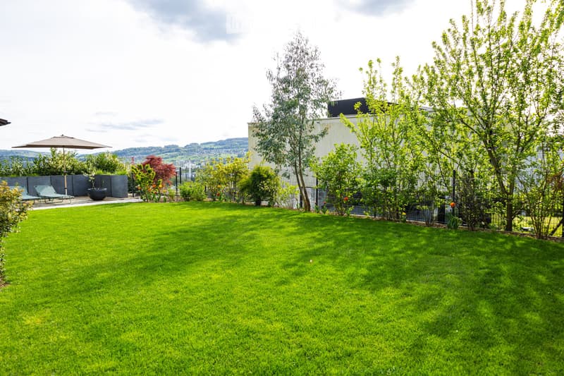 Top casa unifamiliare ristrutturata con vista a Geroldswil ai margini del bosco (3)