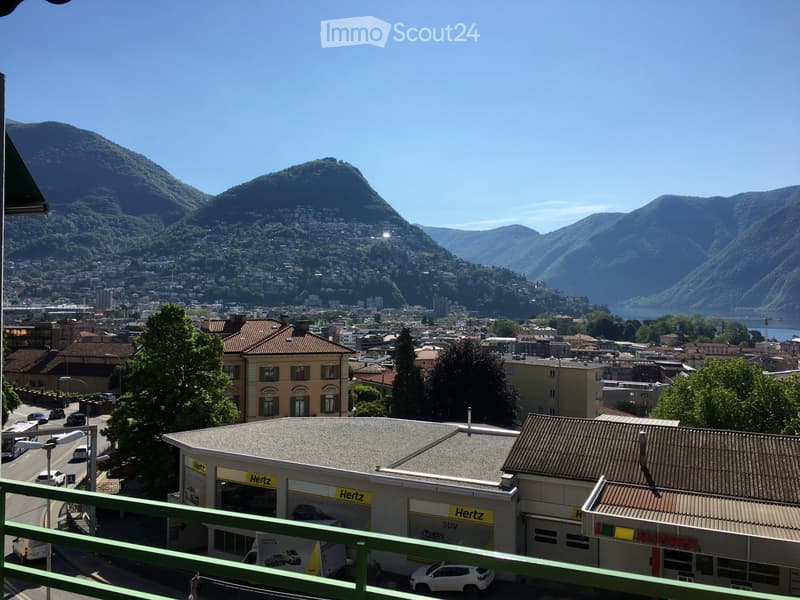 Two-room apartment furnished with lake view (5)