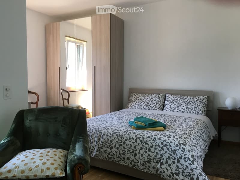 Two-room apartment furnished with lake view (3)