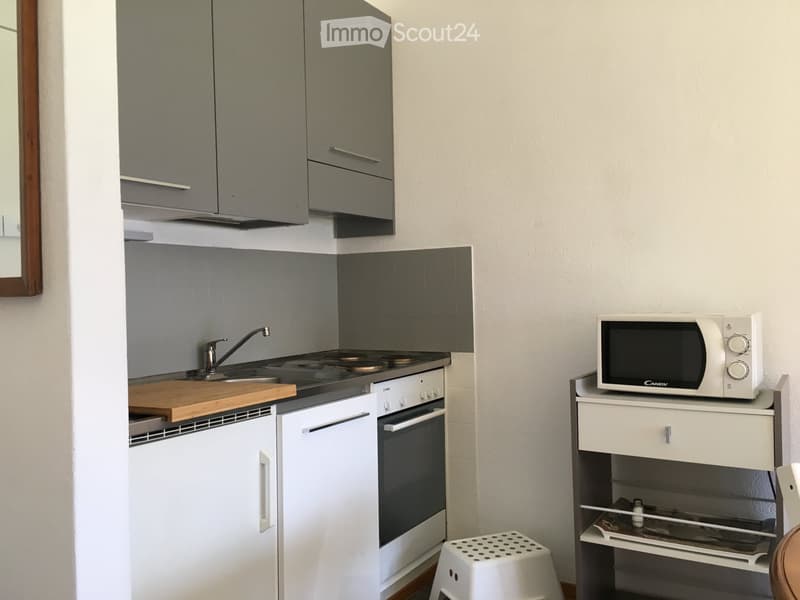 Two-room apartment furnished with lake view (2)