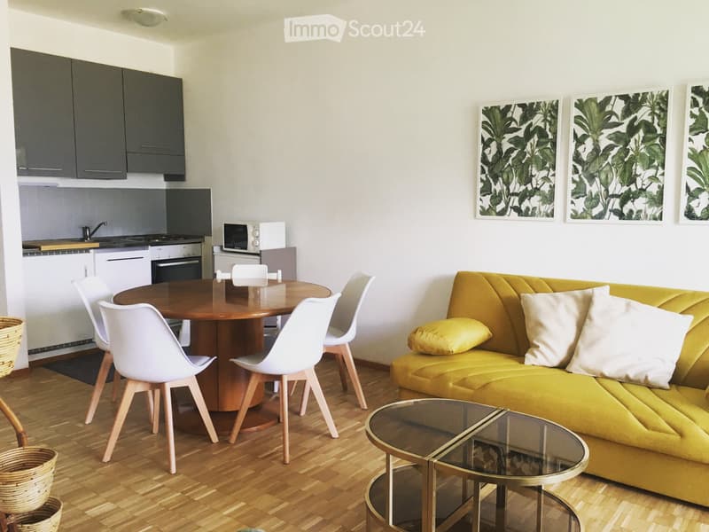 Two-room apartment furnished with lake view (1)