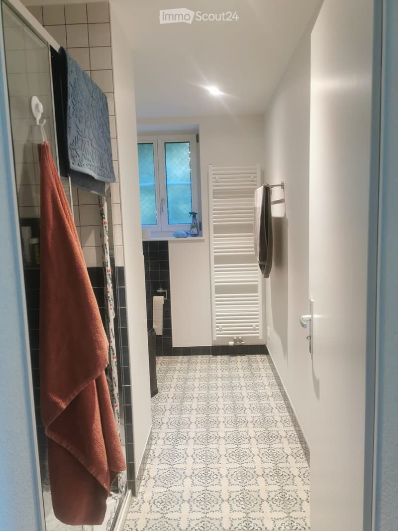Spacious loft ideal for single person or couple (4)
