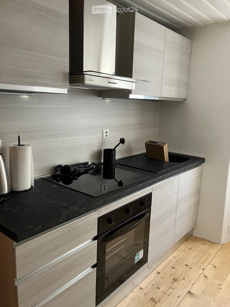 Wohnung (1)
