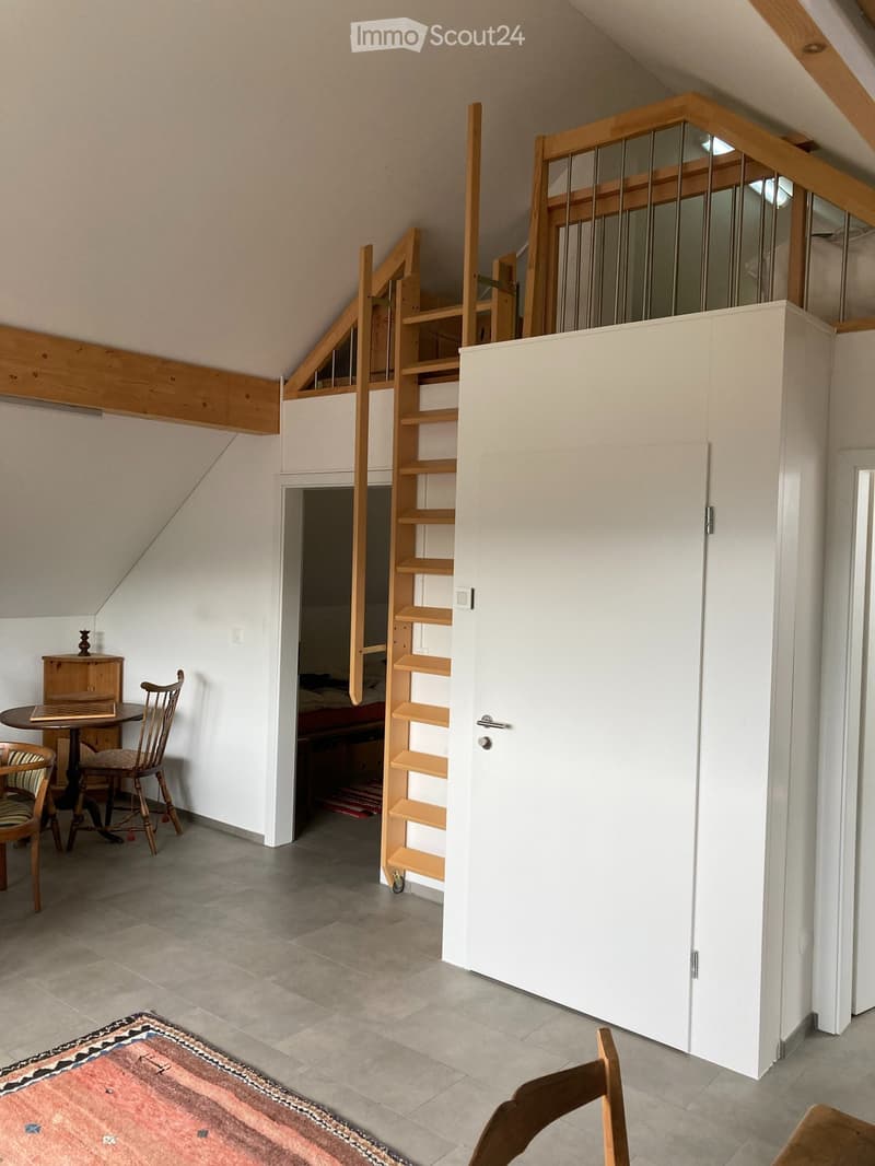 Helle 2.5 Zimmer Wohnung plus Dachzimmer (2)
