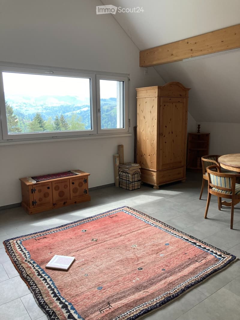 Helle 2.5 Zimmer Wohnung plus Dachzimmer (4)