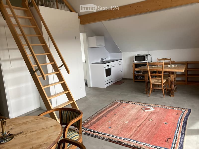 Helle 2.5 Zimmer Wohnung plus Dachzimmer (1)