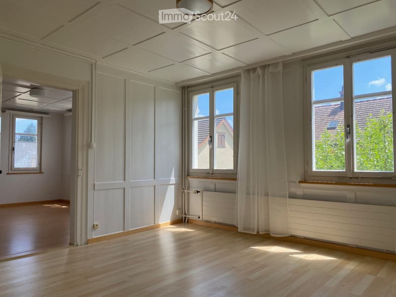 Delizioso appartamento 3,5 locali con giardino (3)