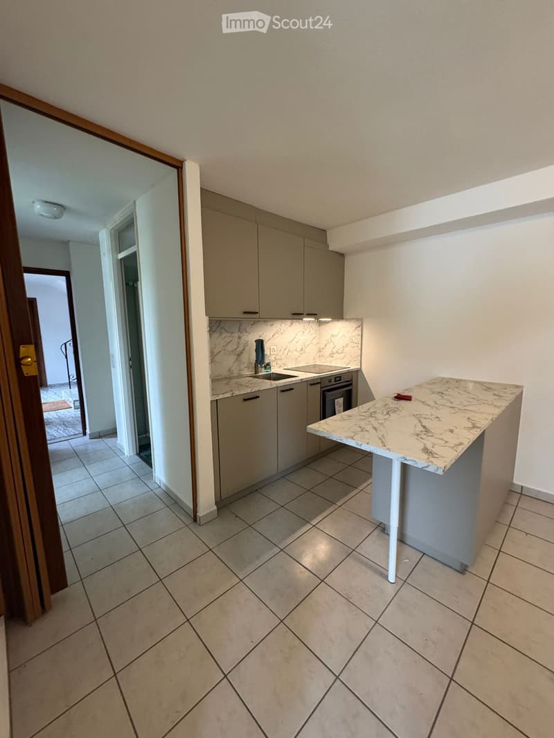 Appartamento in affitto 2.5 locali Barbengo (1)
