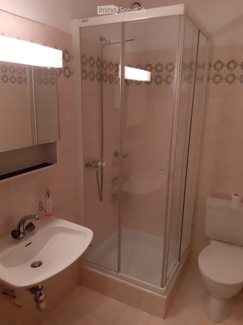 Morbio Inferiore - Rental Properties of Various Sizes (2)
