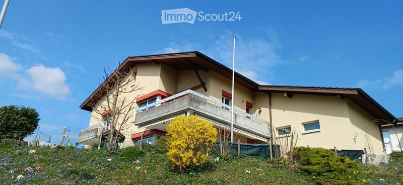 Ampio appartamento di 5 1/2 locali in affitto (1)