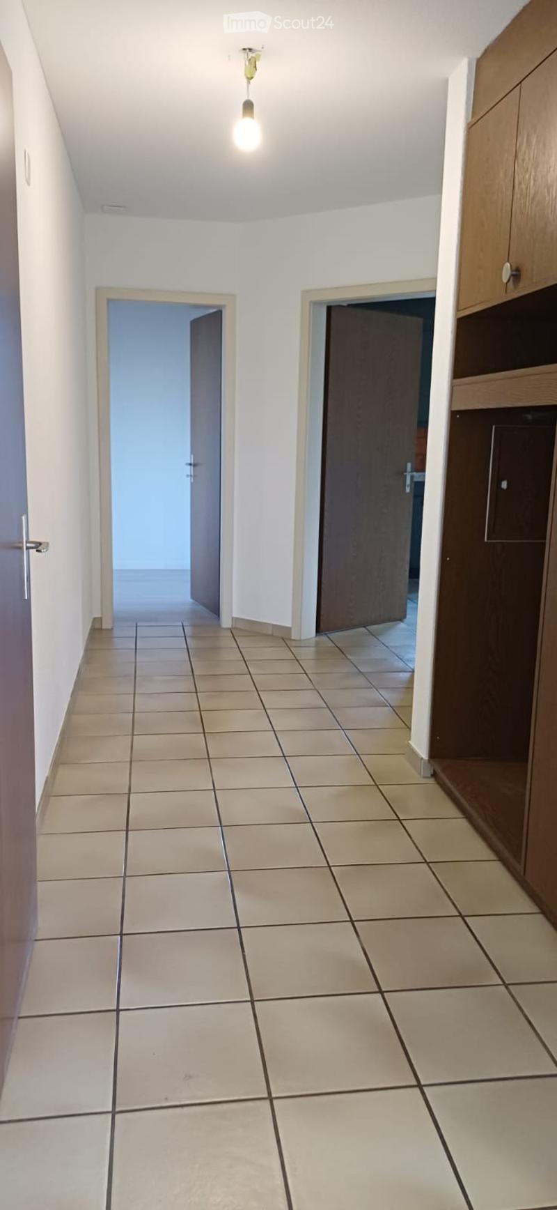 Ampio appartamento di 5 1/2 locali in affitto (5)