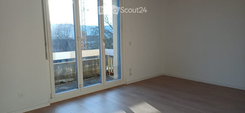 Ampio appartamento di 5 1/2 locali in affitto (3)