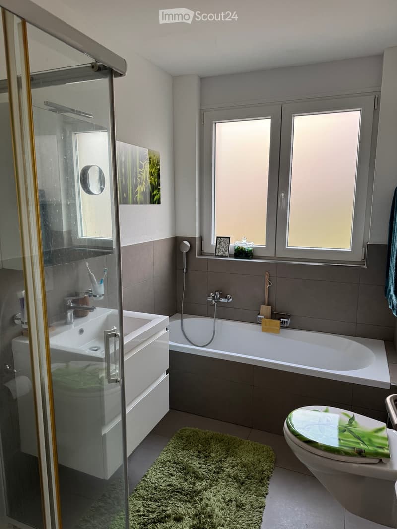 Arbedo 3.5 rooms apartment on the ground floor with terrace and garden (2)