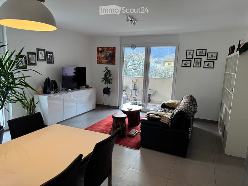 Arbedo 3.5 rooms apartment on the ground floor with terrace and garden (3)
