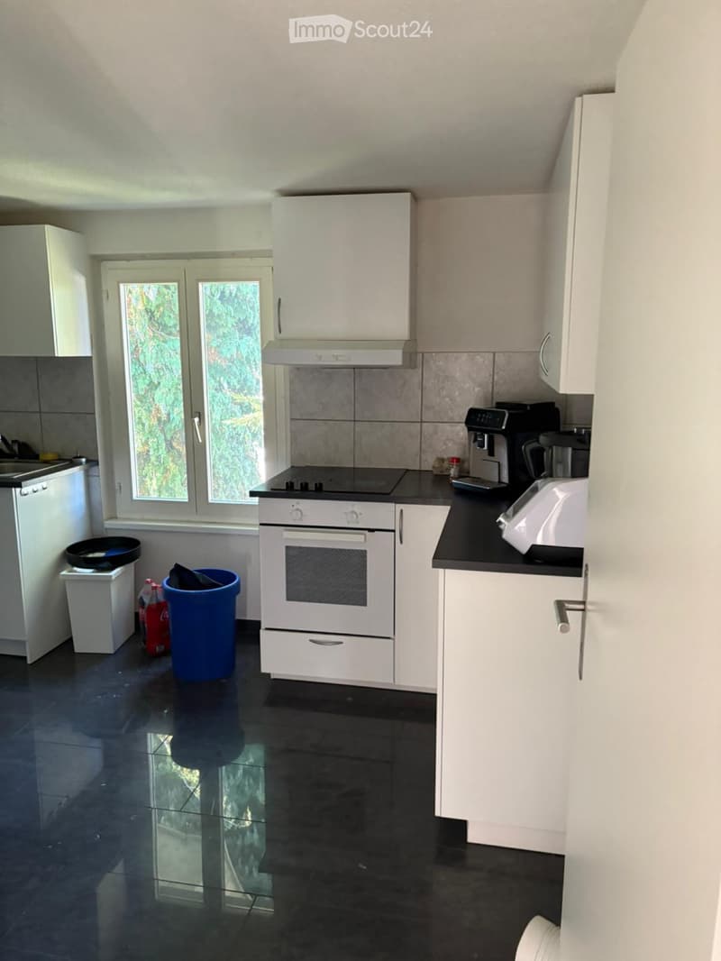 Charming 3.5 room attic apartment in Rickenbach LU (5)